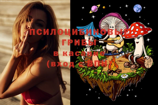 прущий лед Вязьма