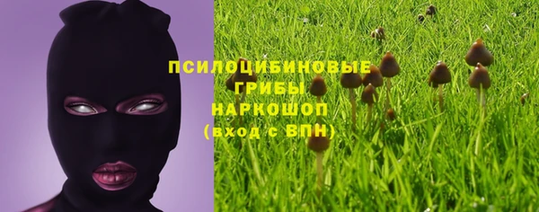 прущий лед Вязьма