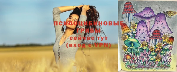 прущий лед Вязьма